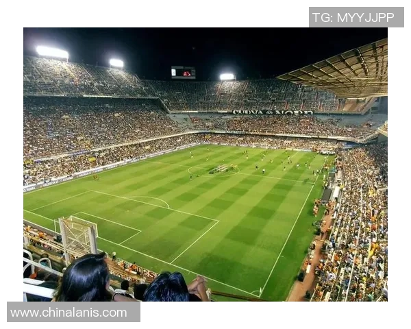 狮王降临绿茵场 展现霸气风采与非凡足球技艺