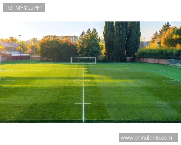 球星壁纸与激情足球赛场的完美融合打造独特视觉盛宴